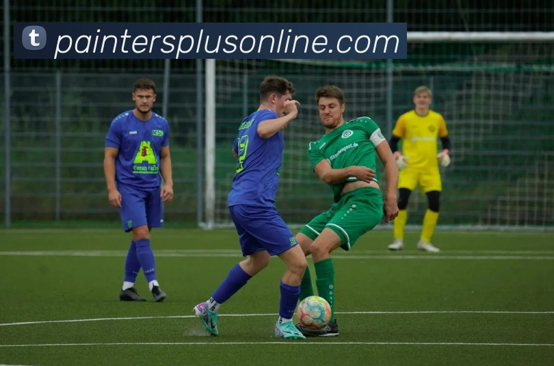 企业概况